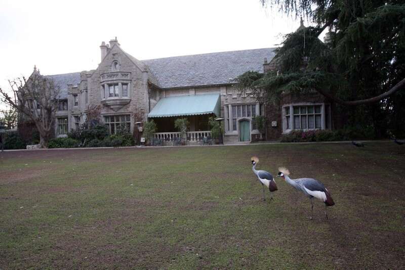 עפ"י עדויות המבקרים, המבנים במצב ירוד. אחוזת פלייבוי // צילום: איי.אף.פי