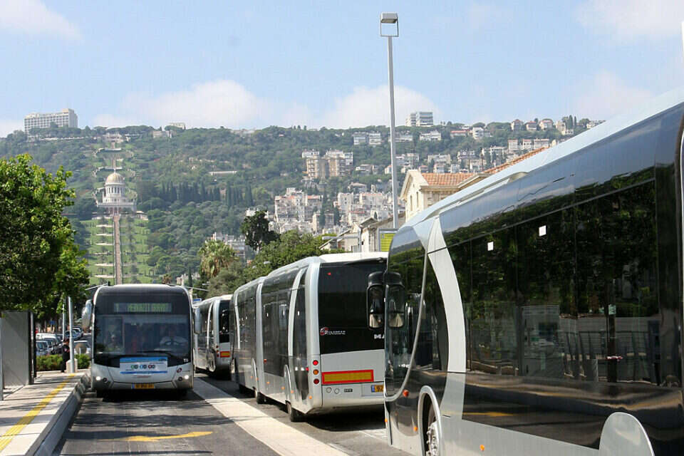 המטרונית בחיפה , הרצי שפירא