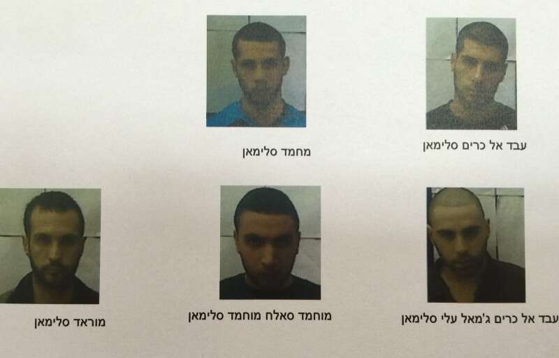 הביעו תמיכה בלתי מסויגת בדאעש. חמשת הנאשמים מנצרת // צילום: שב"כ