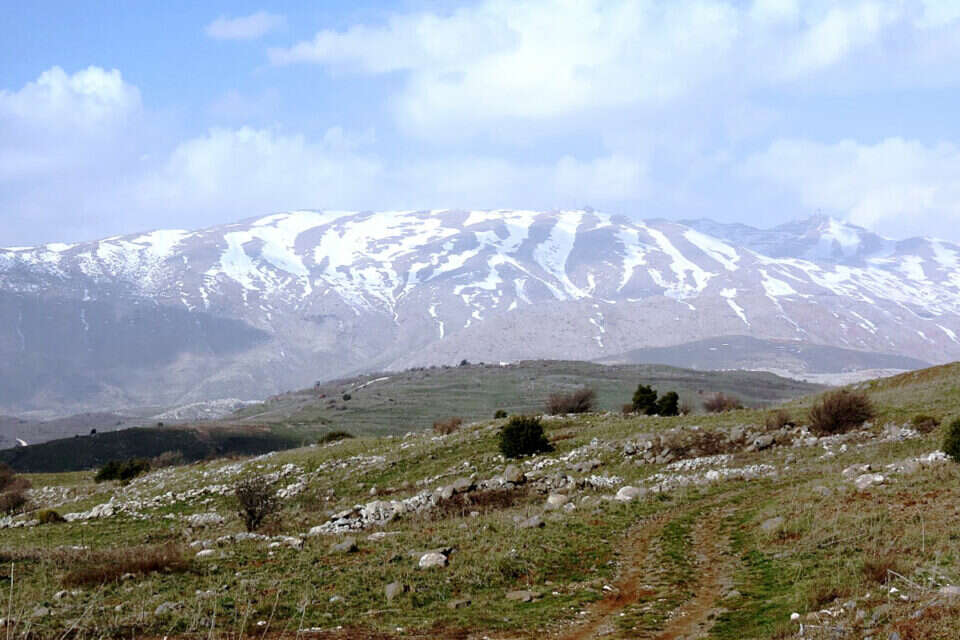 רוחות מזרחיות ערות בהרי הצפון. , דב גרינבלט