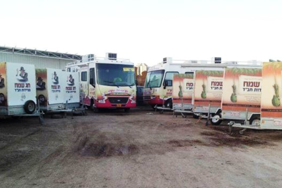 סוכה עד הבית // צילום באדיבות חב"ד // סוכה עד הבית ,