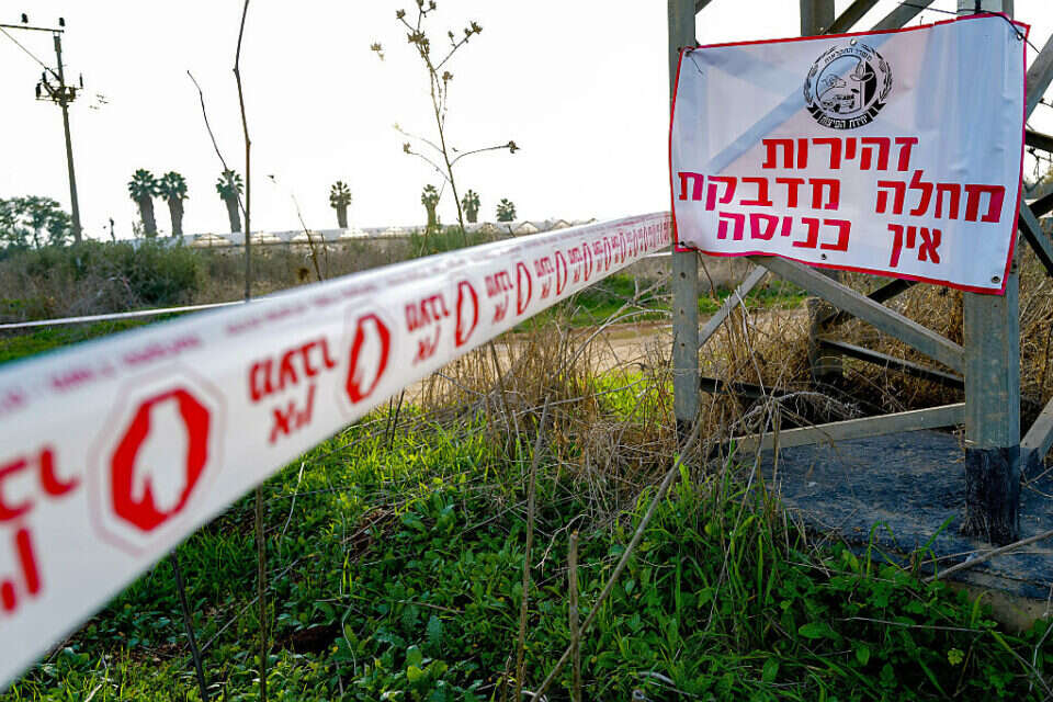 שפעת העופות (ארכיון) , מיכאל גלעדי-ג׳יני