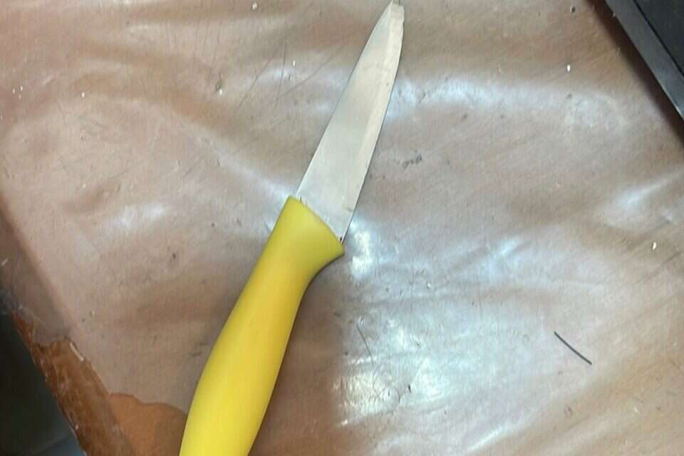 הסכין שנתפסה אצל הצעירה , דוברות המשטרה