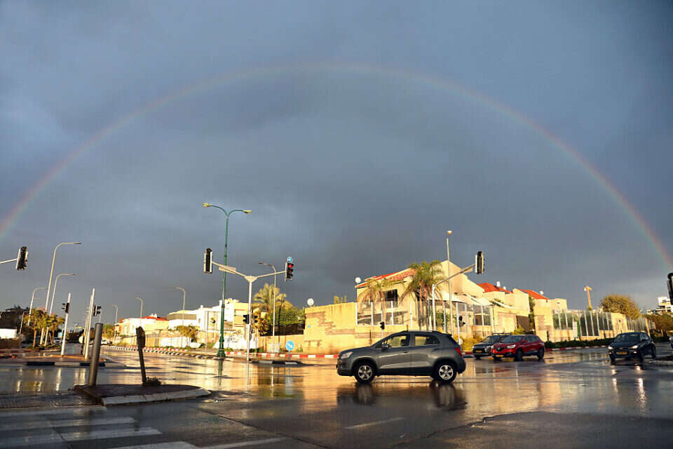 אילוסטרציה , גדעון מרקוביץ'