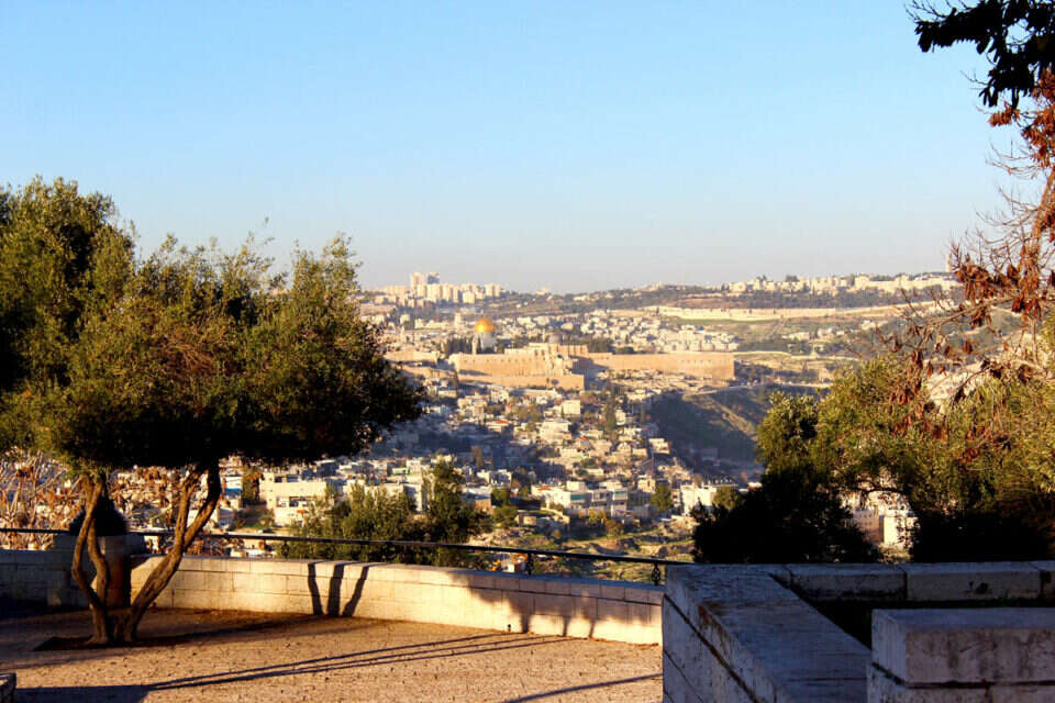 טיילת ארמון הנציב , יונית אגרון