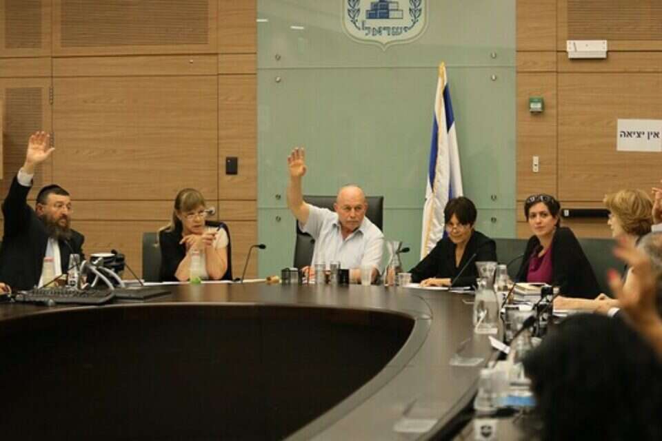 ועדת החוקה, צילום: דודי ועקנין ,