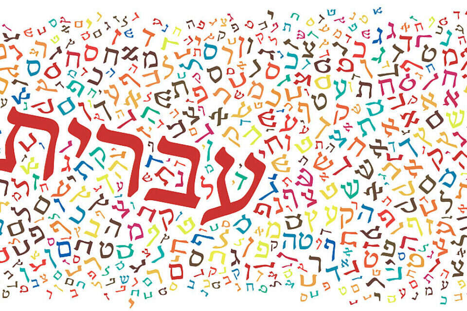 כנס השפה העברית: פרס מיוחד לפזמונאית והמשוררת המפורסמת | ישראל היום