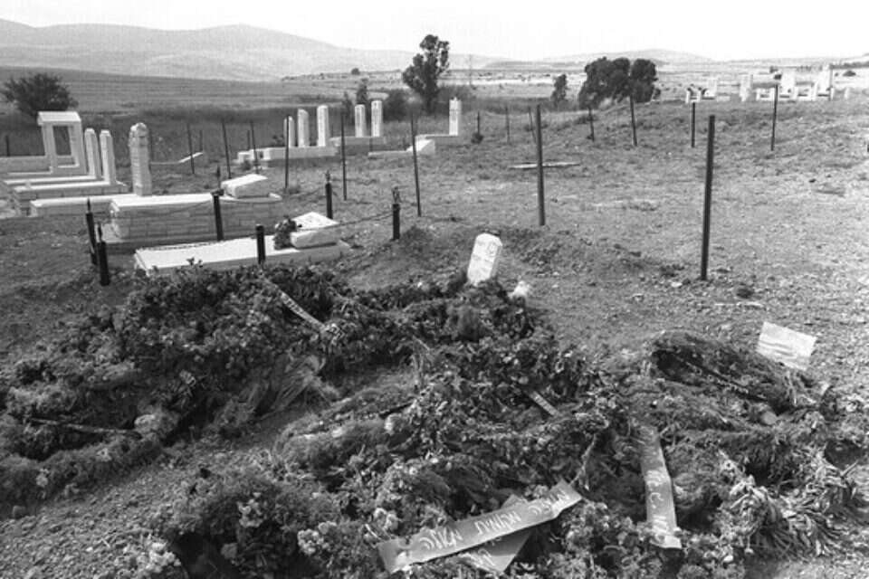 צילום: משה מילנר/לע"מ // ,