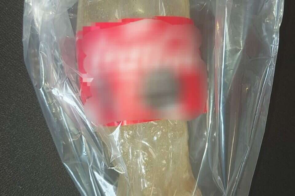בקבוק התבערה שזרק הקטין , דוברות המשטרה