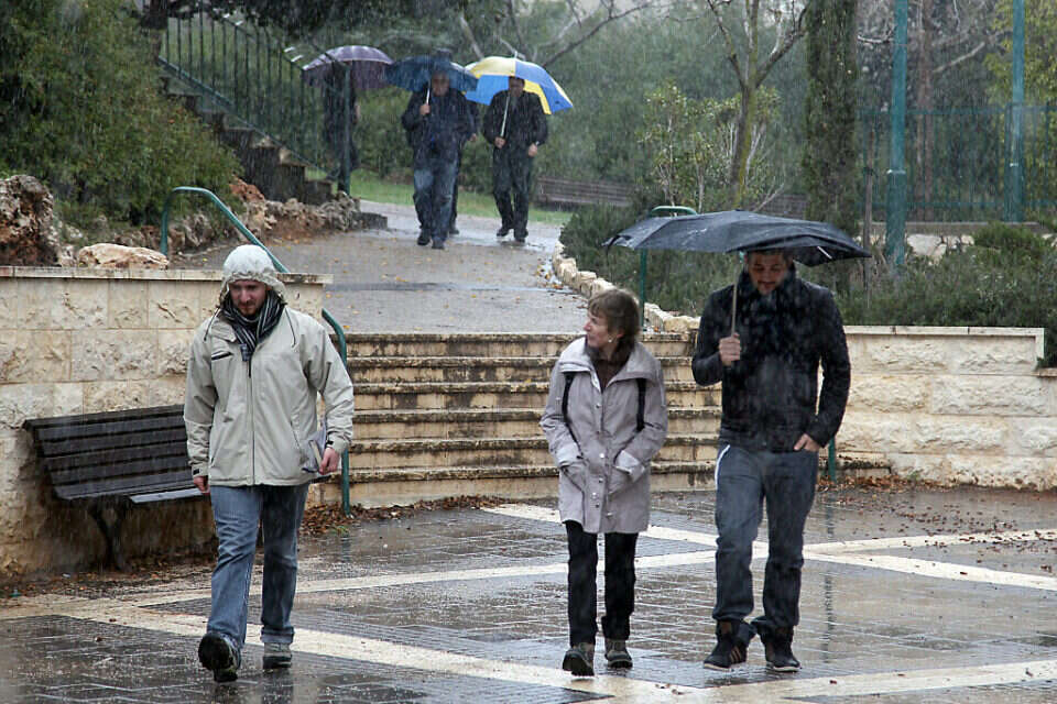 עונה מוצלחת (להמחשה) , גדעון מרקוביץ