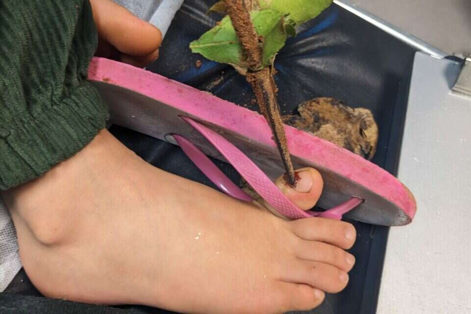 הקלשון שננעץ , דוברות מרכז רפואי מאיר