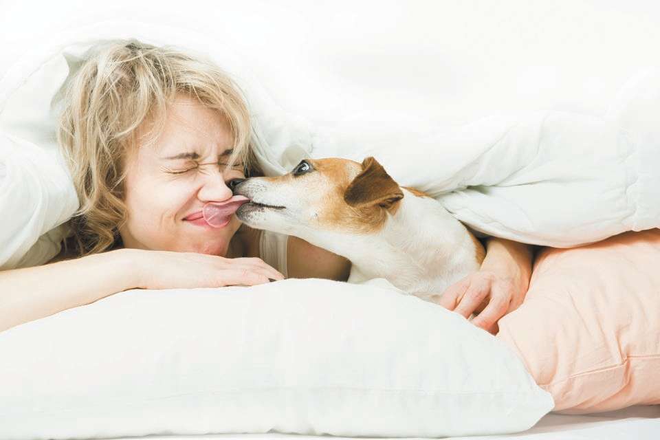 כלב מלקק אישה צעירה , Thinkstock Photos