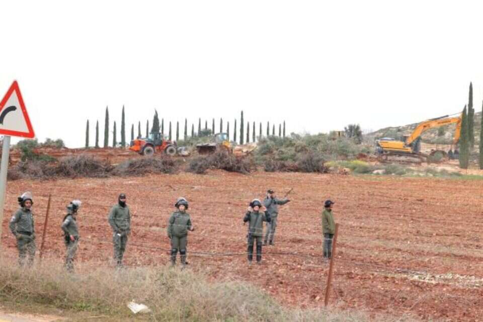 כוחות צה"ל בכרם , אריאל תנעמי/ TPS