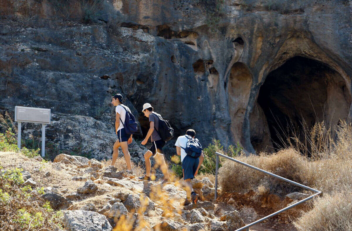 What did our ancient ancestors eat? New study reveals the Natufian menu