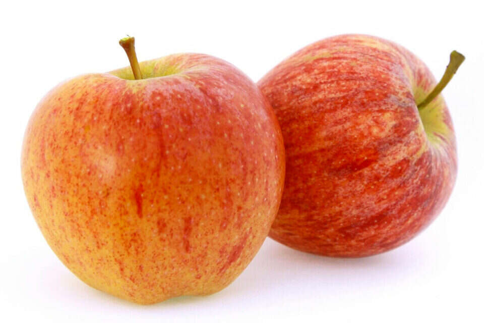 תפוח עץ גאלה, 1 ק"ג ,