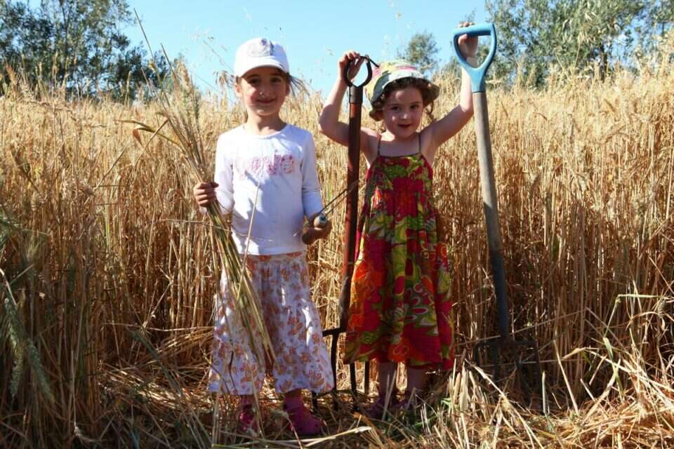 צילום: ליאור אלמוג // פעילויות לשבת עם הילדים ,