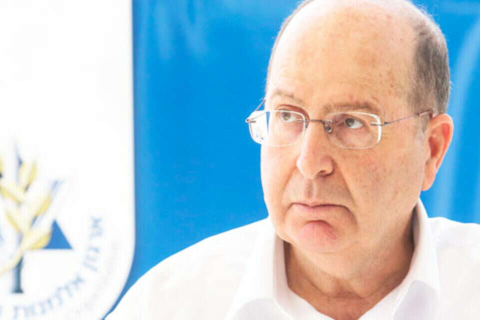 צילום: יהושע יוסף (ארכיון) // יעלון , 
