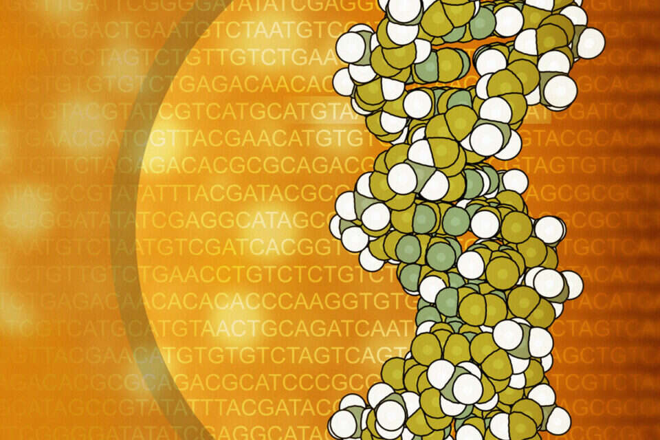 דגימת DNA  // המשטרה מנסה להרחיב את המאגר. דגימת DNA  , 