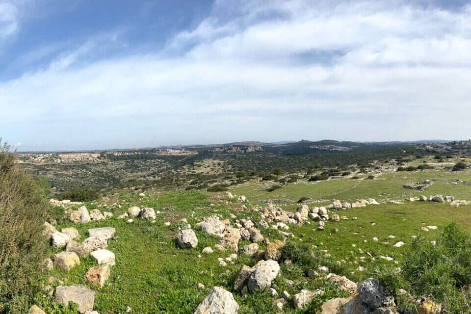 שמורת תל שחאדה , יואן בן חיים