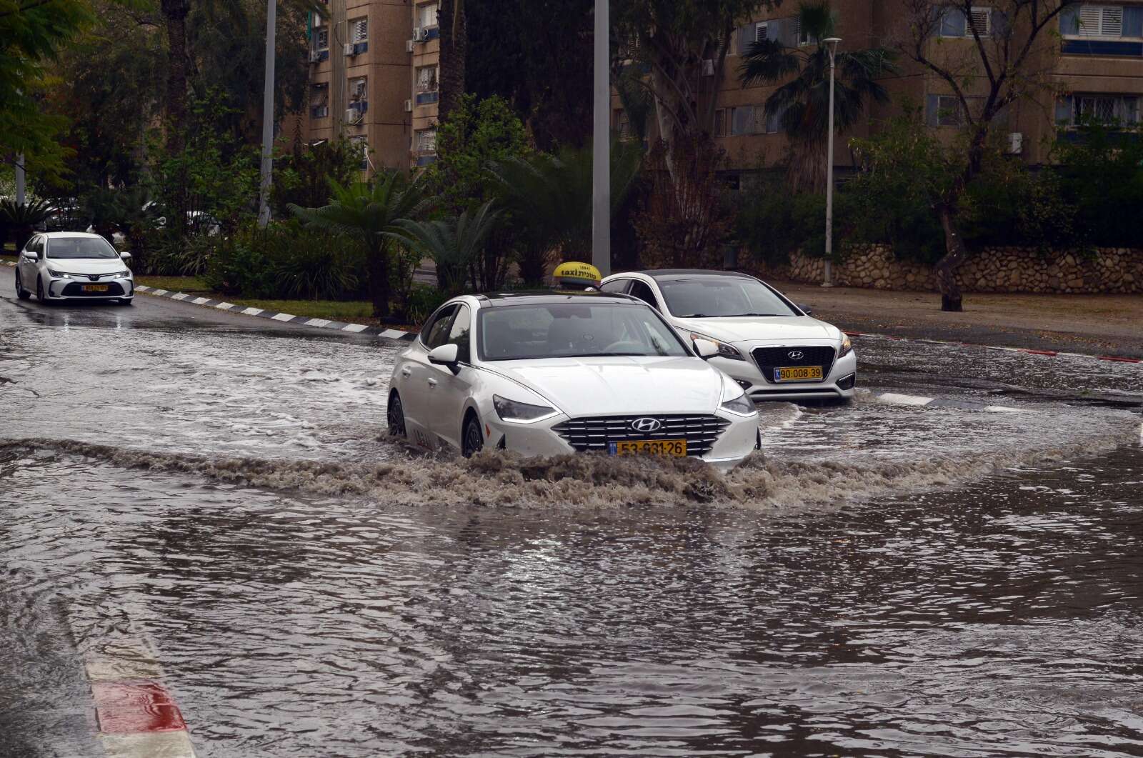 מזג אוויר סוער , דודו גרינשפן