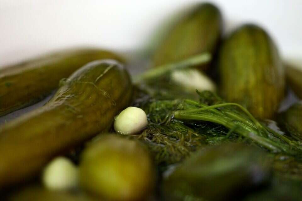 מלפפון חמוץ , לירון אלמוג