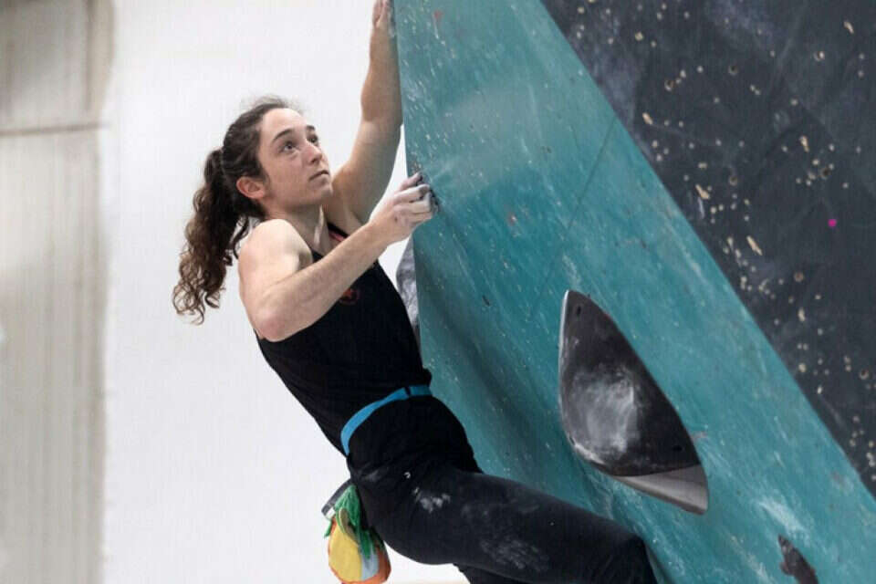 כרם על הקיר. הישג שיא בקריירה