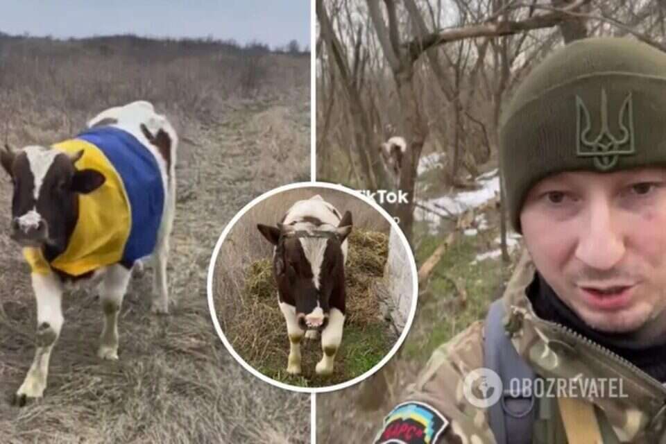 מרטין הפר האוקראיני והחייל שחילץ אותו , מתוך חשבון הטיקטוק Maks86