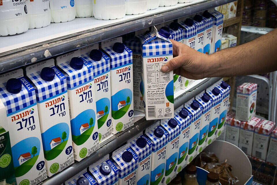 מוצרי חלב במדפים (ארכיון) , אורן בן חקון