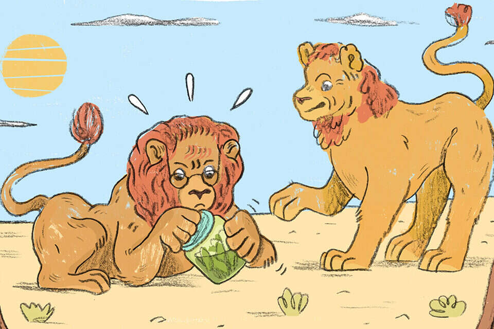 איור: נדב מצ'טה ,