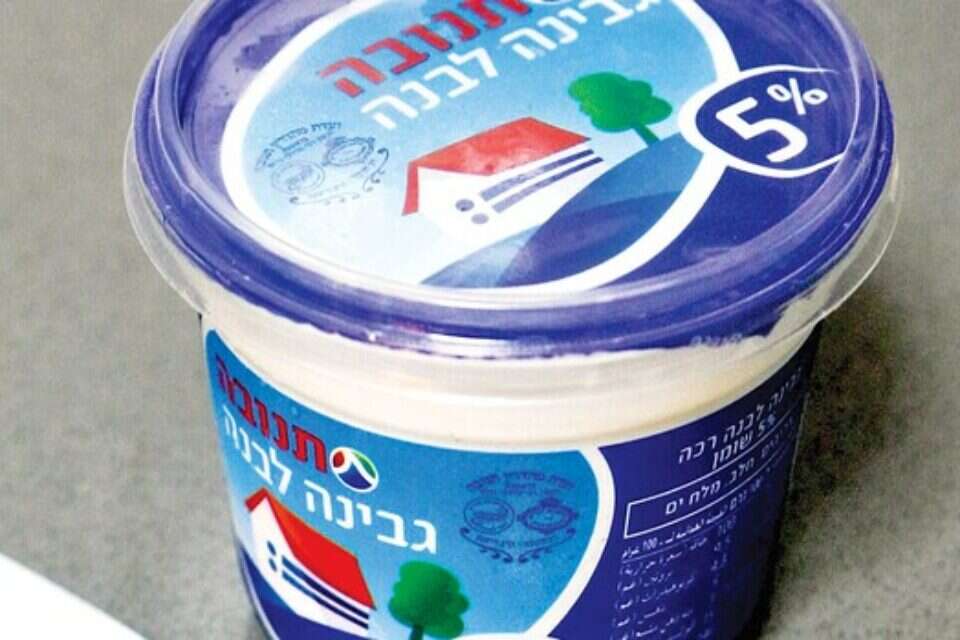 גבינה לבנה 5%. נכנסת לפיקוח // גבינה לבנה 5%. נכנסת לפיקוח , 