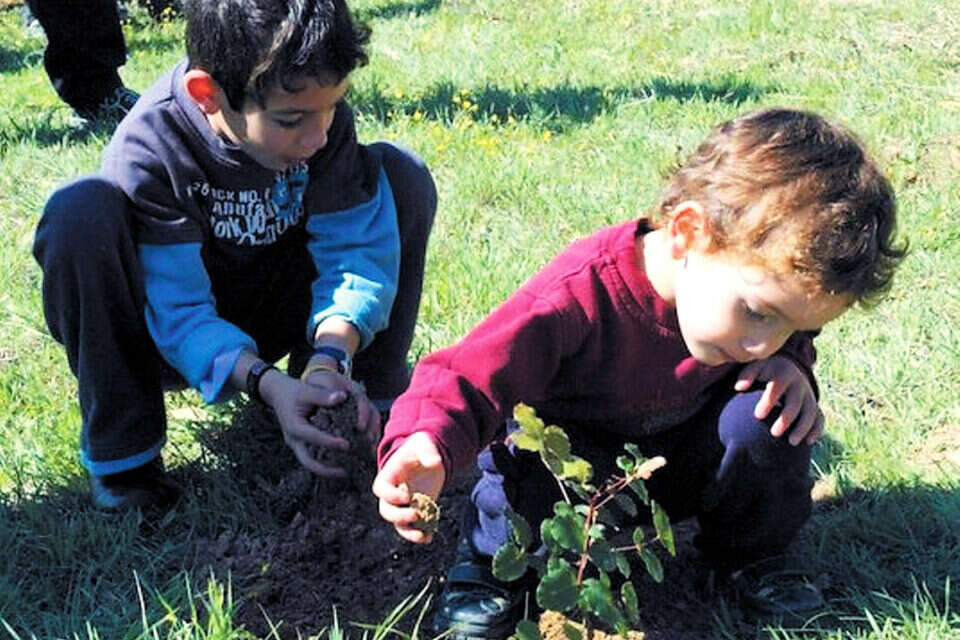 ילדים נוטעים. קיבוץ יד מרדכי             צילום: ענת רייס // ילדים נוטעים. קיבוץ יד מרדכי , 