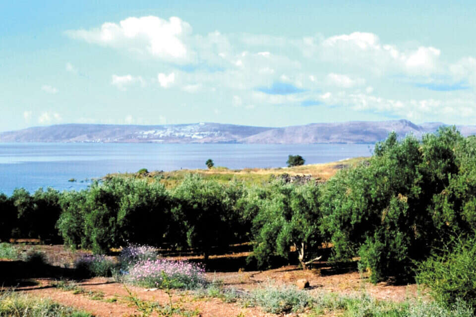 תצפית אל עבר הכנרת // תצפית אל עבר הכנרת משביל סובב כנרת ,