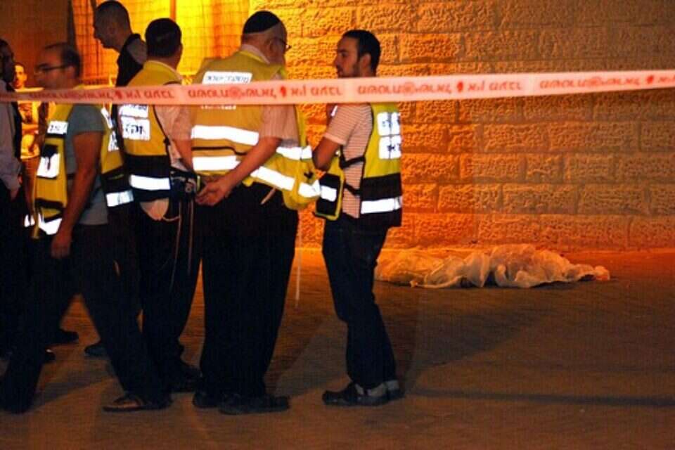 צילום: דודו גרינשפן // זירת האירוע, הערב ,