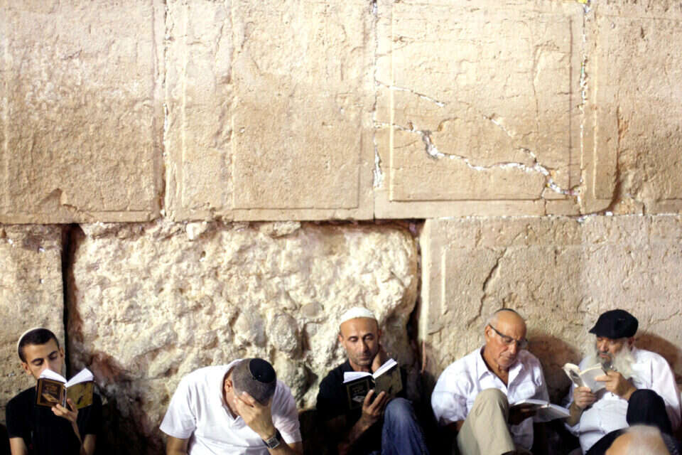 צילום: ליאור מזרחי // ,