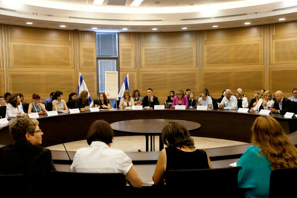 דיונים בוועדת חוקה (ארכיון) , דודי ועקנין
