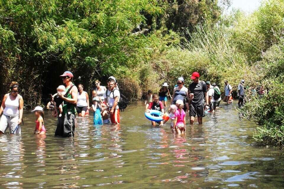 המג'רסה - אחת מחוויות הקיץ האהובות , אטי קוריאט