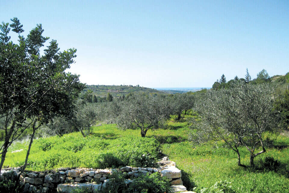 הגליל המערבי , יח"צ
