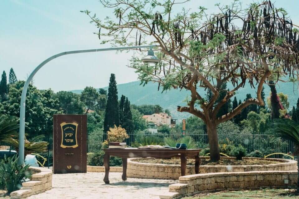 המילה ממלכה קצת יומרנית. רכסים - "ממלכת התורה בצפון"