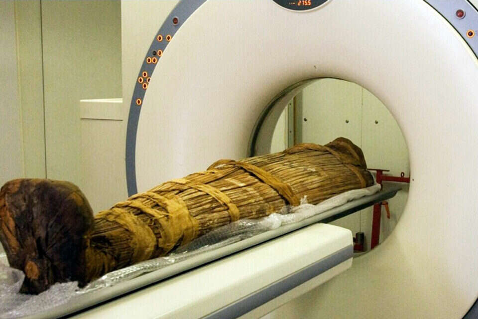 צילום: רויטרס // אחת המומיות בסריקת CT , 