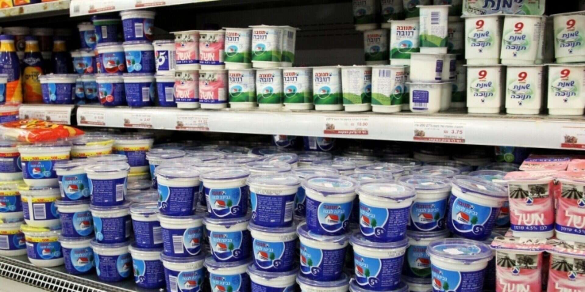 צילום: יוסי זליגר // הקוטג'. הדי המחאה שככו? , 