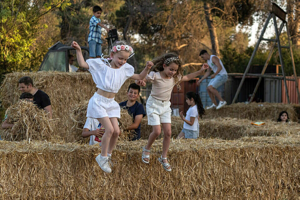 חג השבועות יהיה שרבי במיוחד , .