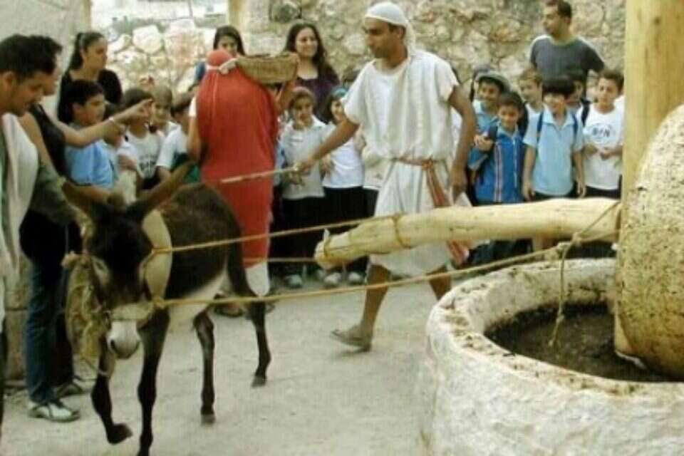 סדנה לכתישת זיתים באלדיוואן ,