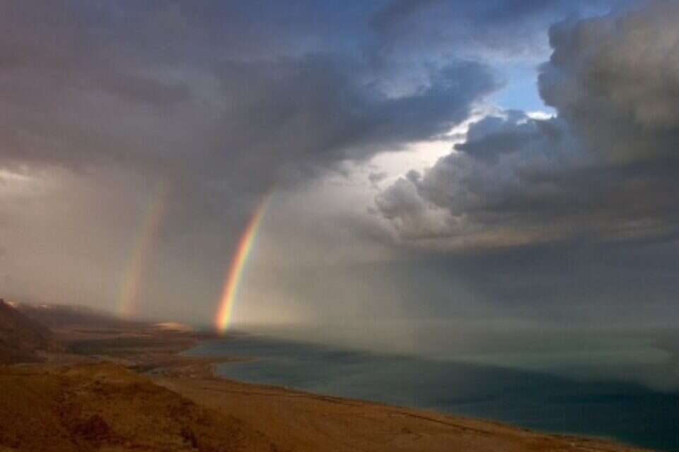 ,