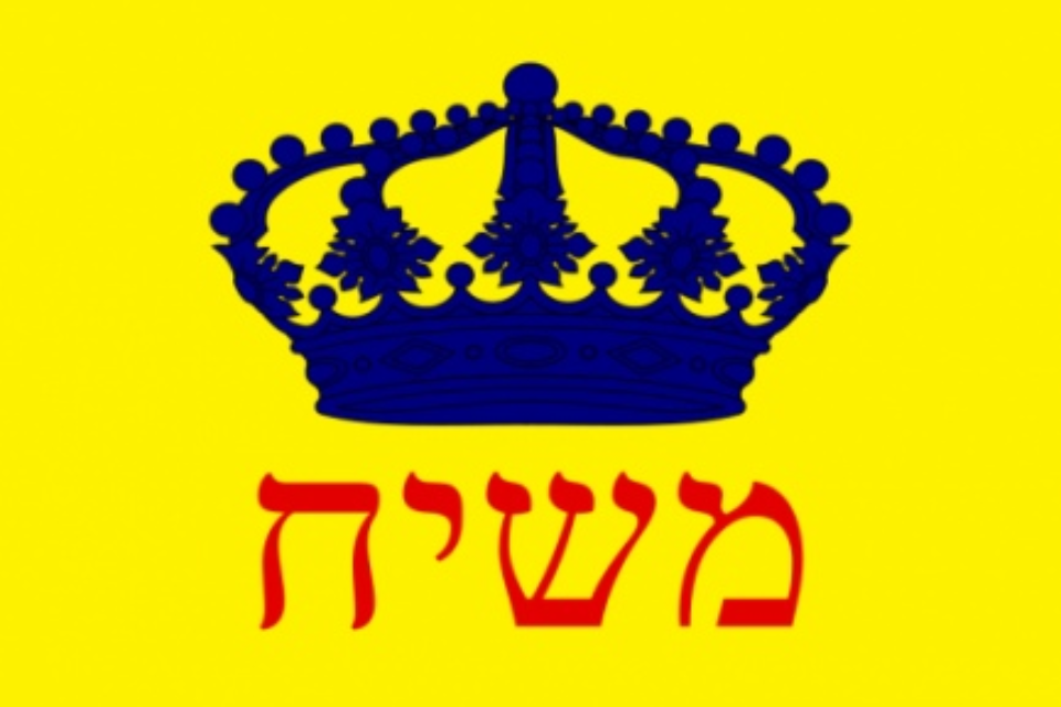 צילום: Courtesy // Chabad's emblem. ,