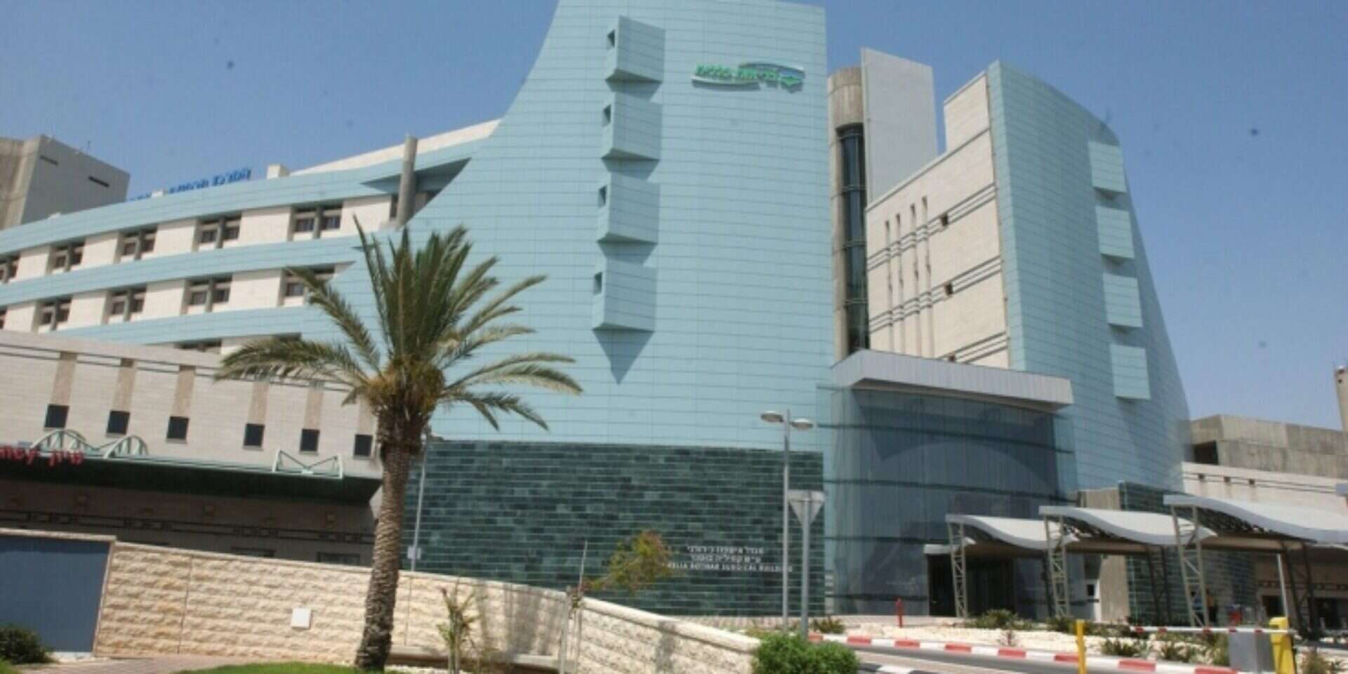 בית החולים סורוקה , דודו גרינשפן