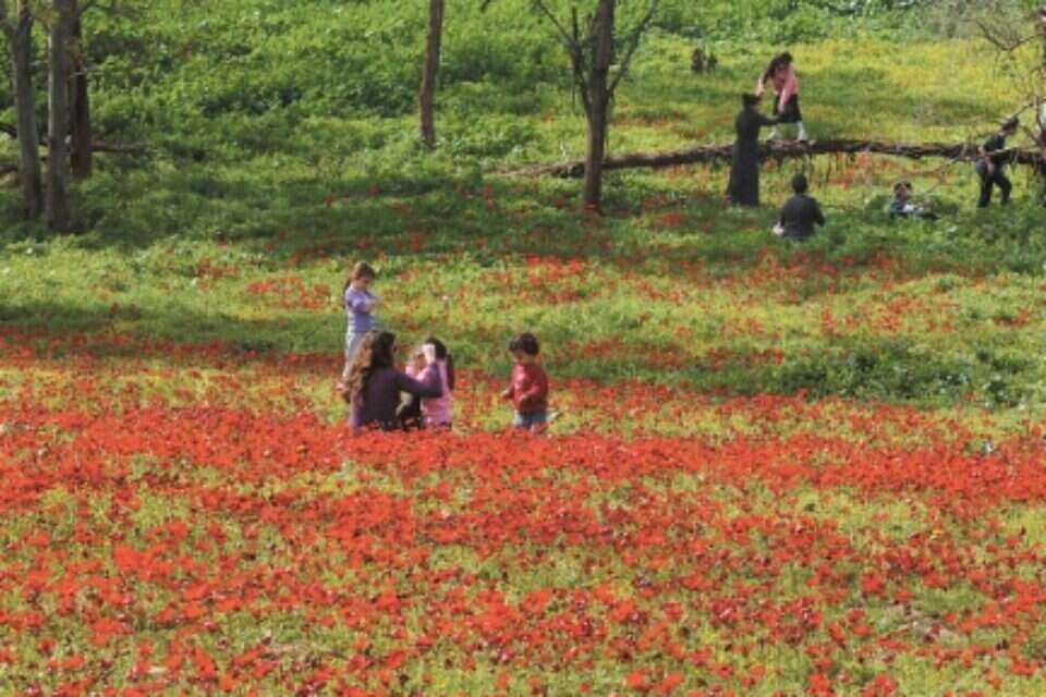 למרות המלחמות והמשברים: שוק התעסוקה בנגב דווקא מתחזק