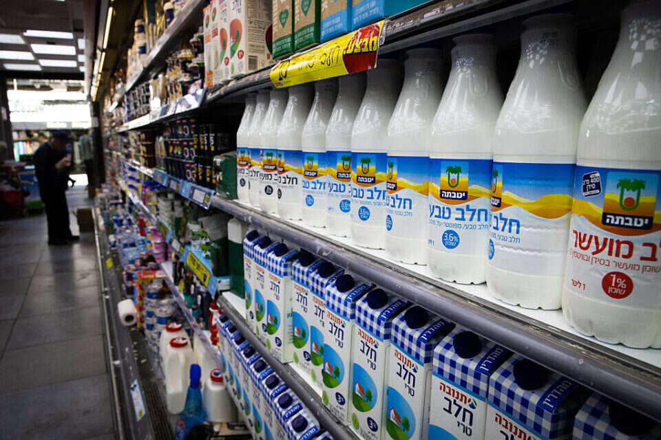 חלב , אורן בן חקון