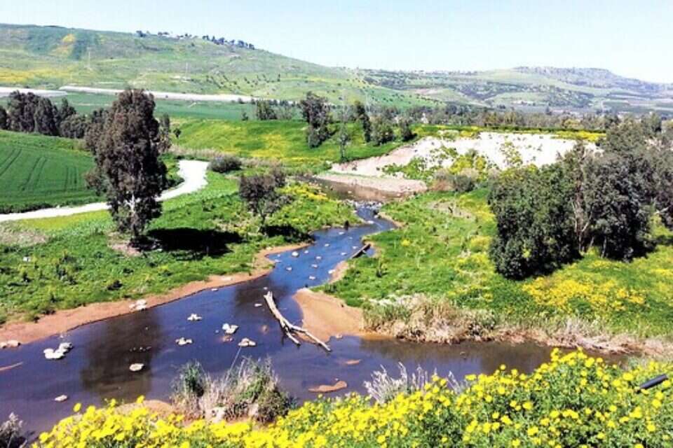 מורד הירדן // צילום: סיון חודי // מורד הירדן  , 
