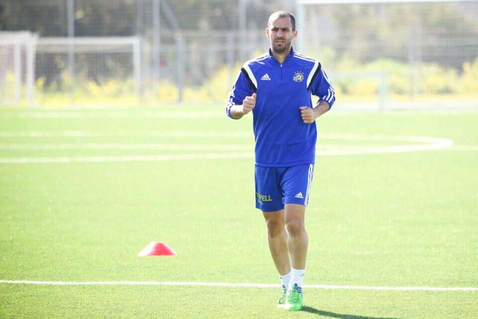 ורמוט. מתרגל לחיים בצהוב // עמי שומן // ורמוט. מתרגל לחיים בצהוב ,