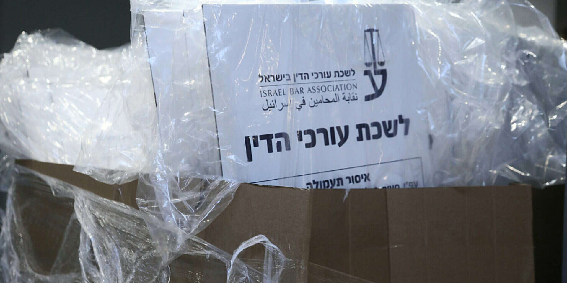 לשכת עורכי הדין , גדעון מרקוביץ'